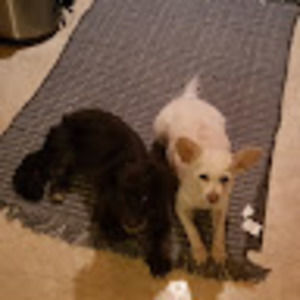 Meet your Posher, Ateka